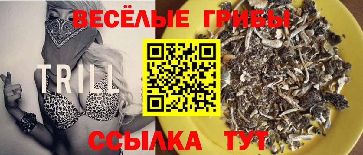 Галлюциногенные грибы мицелий  купить   Кириши  Вход с VPN 