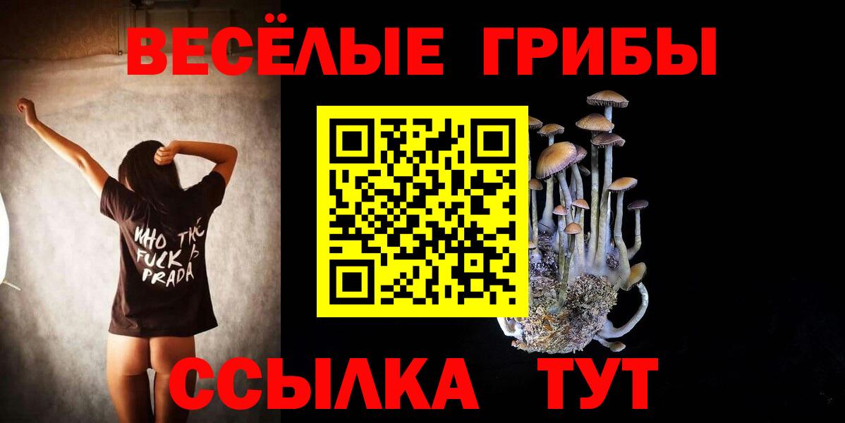 Псилоцибиновые грибы MAGIC MUSHROOMS Кириши